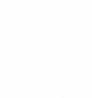 Структура дерева белый арт.4470-932