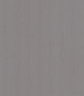 Клен теневой N104